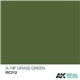 AK Real Colors RC312 A-19F Grass Green 10ml
