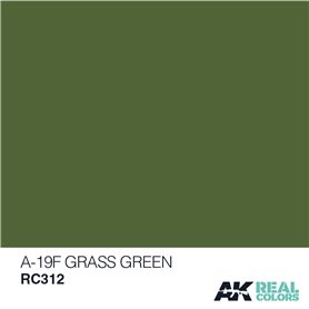 AK Real Colors RC312 A-19F Grass Green 10ml