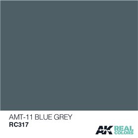 AK Real Colors RC317 AMT-11 Blue Grey 10ml