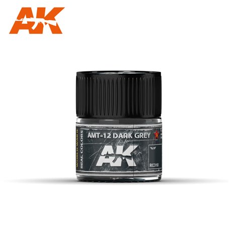 AK Real Colors RC318 AMT-12 Dark Grey 10ml