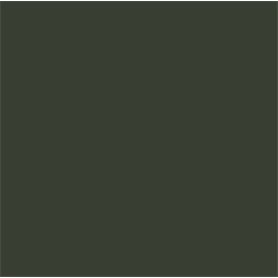 Mr.Color C361 Dark Green - BS641 - MATOWY - 10ml