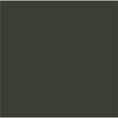 Mr.Color C361 Dark Green - BS641 - MATT - 10ml 