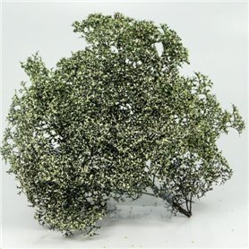 BSM Blooming Bush