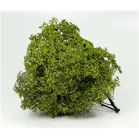 BSM Spring Bush