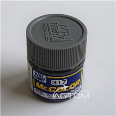 Mr.Color C317 Gray - FS36231 - MATOWY - 10ml