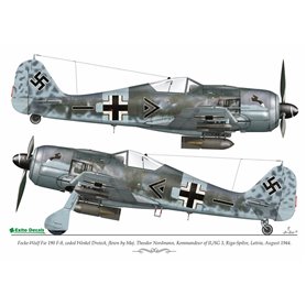 Exito ED48004 1/48 Luftwaffe Ground Attacke
