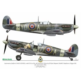Exito EXITO DECALS 1:48 Kalkomanie SEXY SPITFIRES - Supermarine Spitfire LF Mk.vb - Mk.VIII - Mk.IXe- cz.1