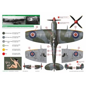 Exito ED72003 1/72 Sexy Spitfires