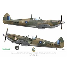 Exito ED72003 1/72 Sexy Spitfires