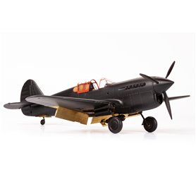 P-40F exterior TRUMPETER