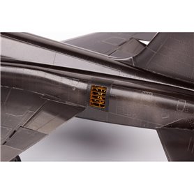 F-5F exterior KITTY HAWK
