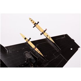 F-5F exterior KITTY HAWK