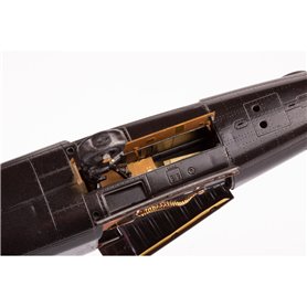 F-5F exterior KITTY HAWK