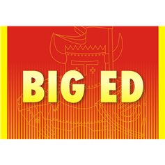 Eduard BIG ED 1:48 RF-101C / Kitty Hawk