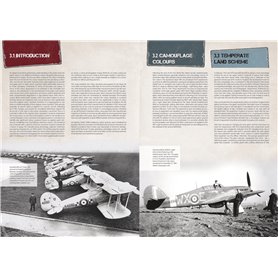 AK Interactive WWII Real Colors: Aircraft EN