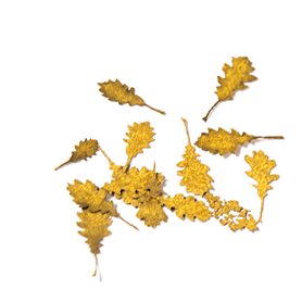 AK Interactive 1:35 Oak Autumn