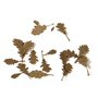 AK Interactive 1:35 Oak Dry Leaves