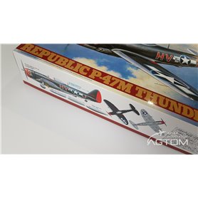 Tamiya 1:48 Republic P-47M Thunderbolt 