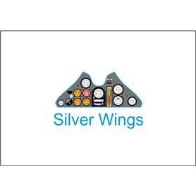 Yahu Models 1:32 PZL P.11c dla Silver Wings