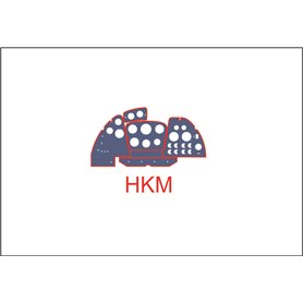 Yahu Models 1:32 Do 335 dla HKM