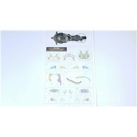 Meng 1:9 Kawasaki Ninja H2R