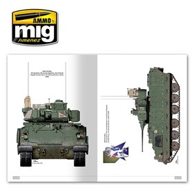 Ammo of MIG M2A3 Bradley in Europe in Detail