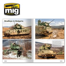 Ammo of MIG M2A3 Bradley in Europe in Detail