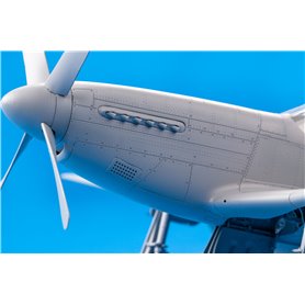 Eduard 1:48 North American P-51D Mustang - CHATTANOOGA CHOCO CHOCO - LIMITED EDITION