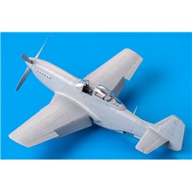 Eduard 1:48 North American P-51D Mustang - CHATTANOOGA CHOCO CHOCO - LIMITED EDITION