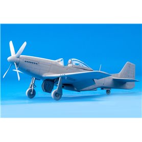 Eduard 1:48 North American P-51D Mustang - CHATTANOOGA CHOCO CHOCO - LIMITED EDITION