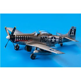 Eduard 1:48 North American P-51D Mustang - CHATTANOOGA CHOCO CHOCO - LIMITED EDITION