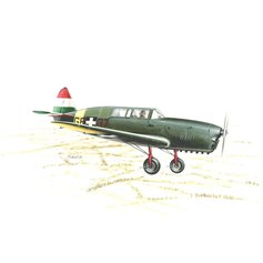 Special Hobby 1:48 Nardi FN.305 - LUFTWAFFE AND ROYAL HUNG 