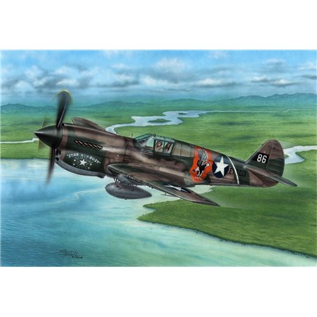 Special Hobby 72338 P-40E Warhawk Claws & Teeth