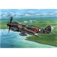 Special Hobby 1:72 Curtiss P-40E Warhawk - CLAWS ANS TEETH