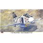 Hasegawa 1:72 F-4N Phantom II - JOLLY ROGERS - VF-84