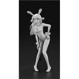 Hasegawa SP405-52205 Claire Frost (Bunny Girl) MiG