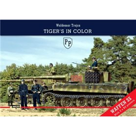 Trojca- Tigers in Color