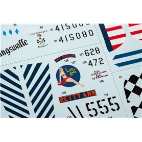 Eduard R0020 P-51D Mustang Royal Classic Edition