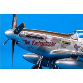 Eduard R0020 P-51D Mustang Royal Classic Edition