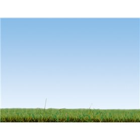 Noch SCATTER GRASS - MEADOW - 120g