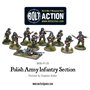 Bolt Action Polish Army Infantry Section 