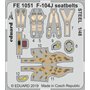 Eduard F-104J seatbelts STEEL 1/48 dla KINETIC