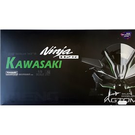 Meng 1:9 Kawasaki Ninja H2R - PRE-COLORED EDITION 