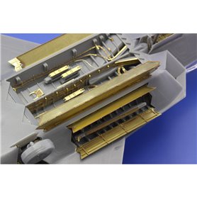 Eduard F-22 bomb bay 1/72 dla FUJIMI