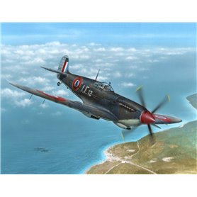 Special Hobby 1:48 Supermarine Seafire Mk.III - AERONAVALE AND IRISH