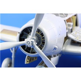 Eduard BUG ED 1:48 TBD-1 dla GWH