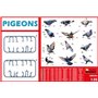 Mini Art 38036 Pigeons