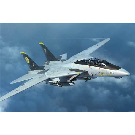 Trumpeter 03919 F-14D Tomcat