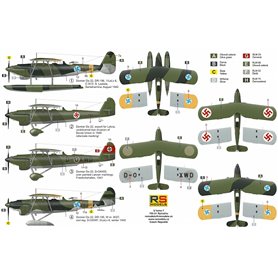 RS Models 92244 Dornier Do 22