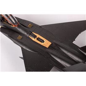 Eduard 1:72 F-15J